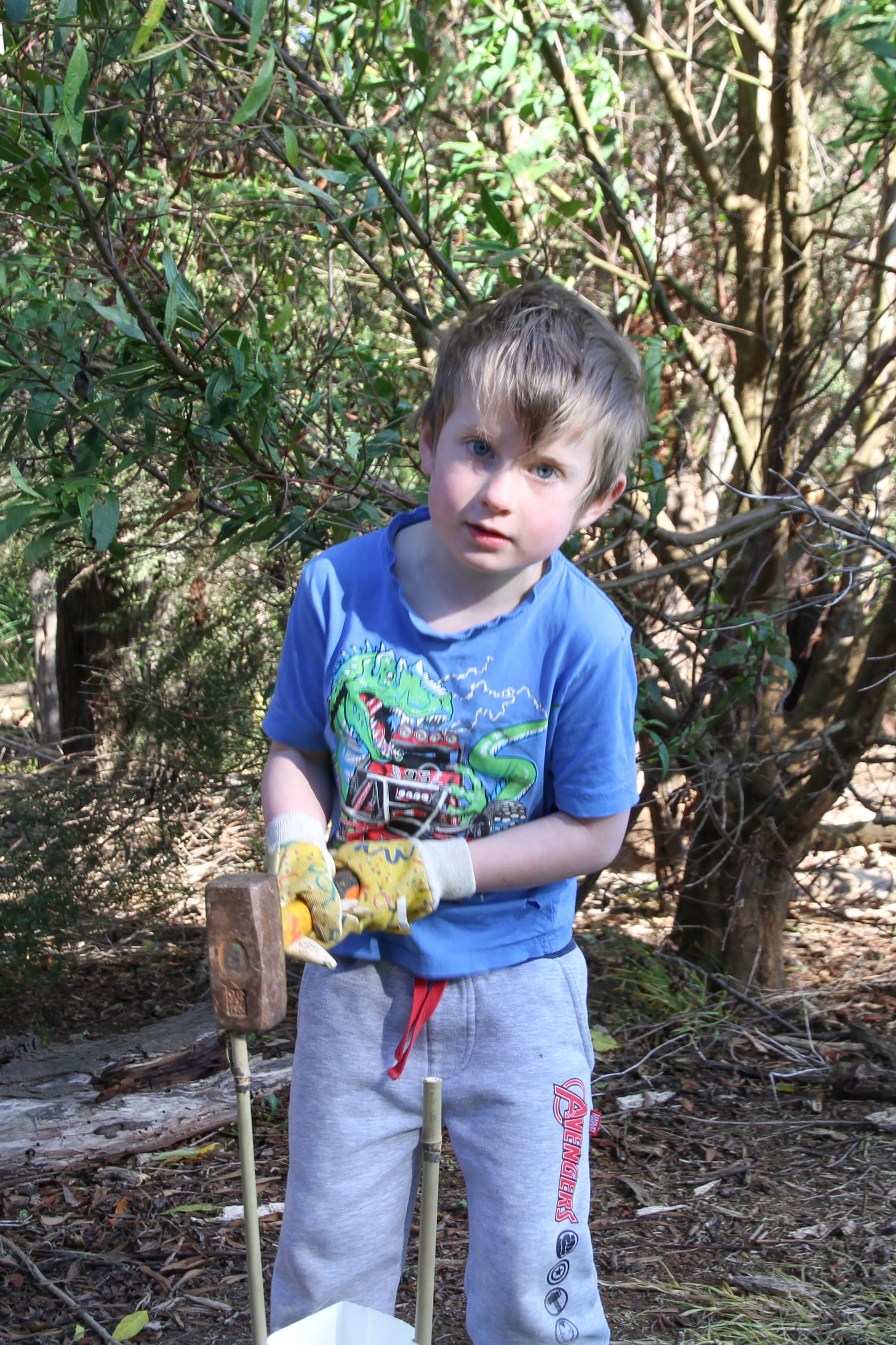 Six year old James White hammers in the supports for a new shrub.