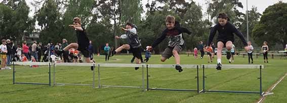 Jumping hurdles