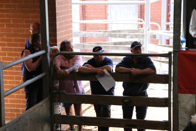 Saleyards - 2021 