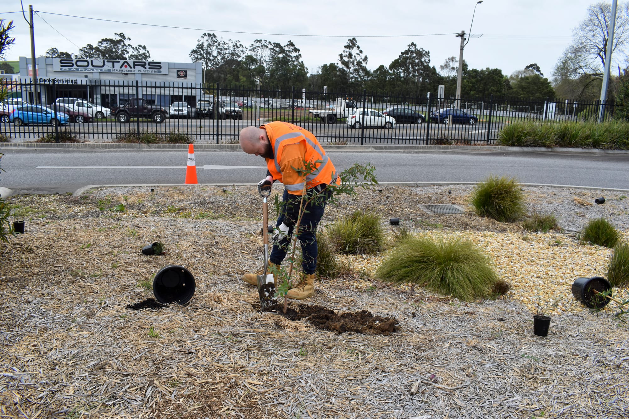 Call for stationeers to beautify gardens