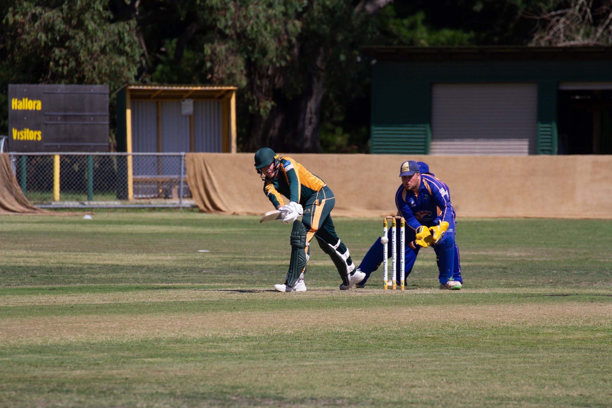 Cricket Div 1 Hallora Vs. Ellinbank - 12.03.2022