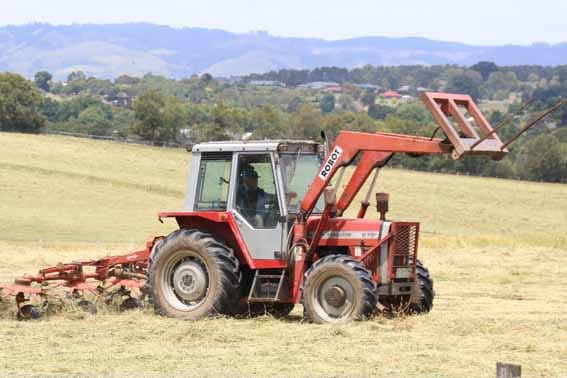 Rain needed for hay harvest
