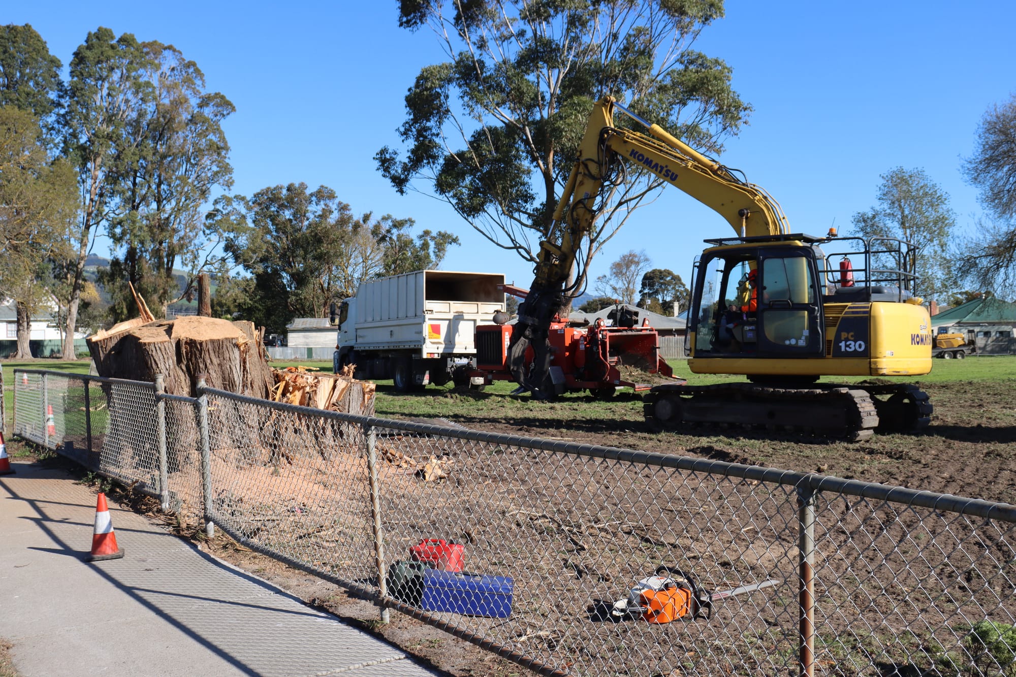 Anger over park tree removal
