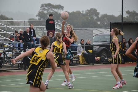 Young teams star