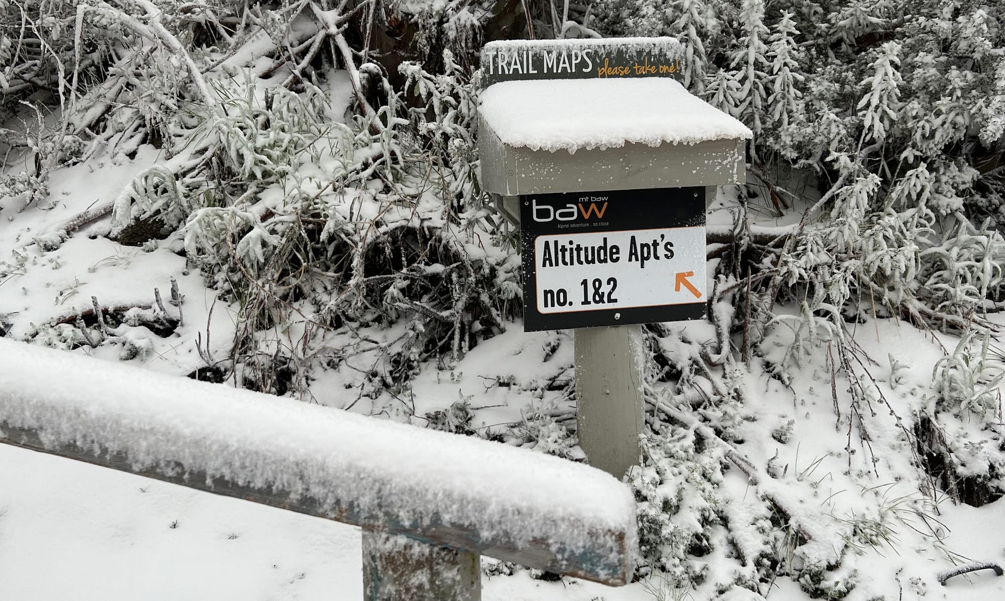 Are we headed for a White Christmas?