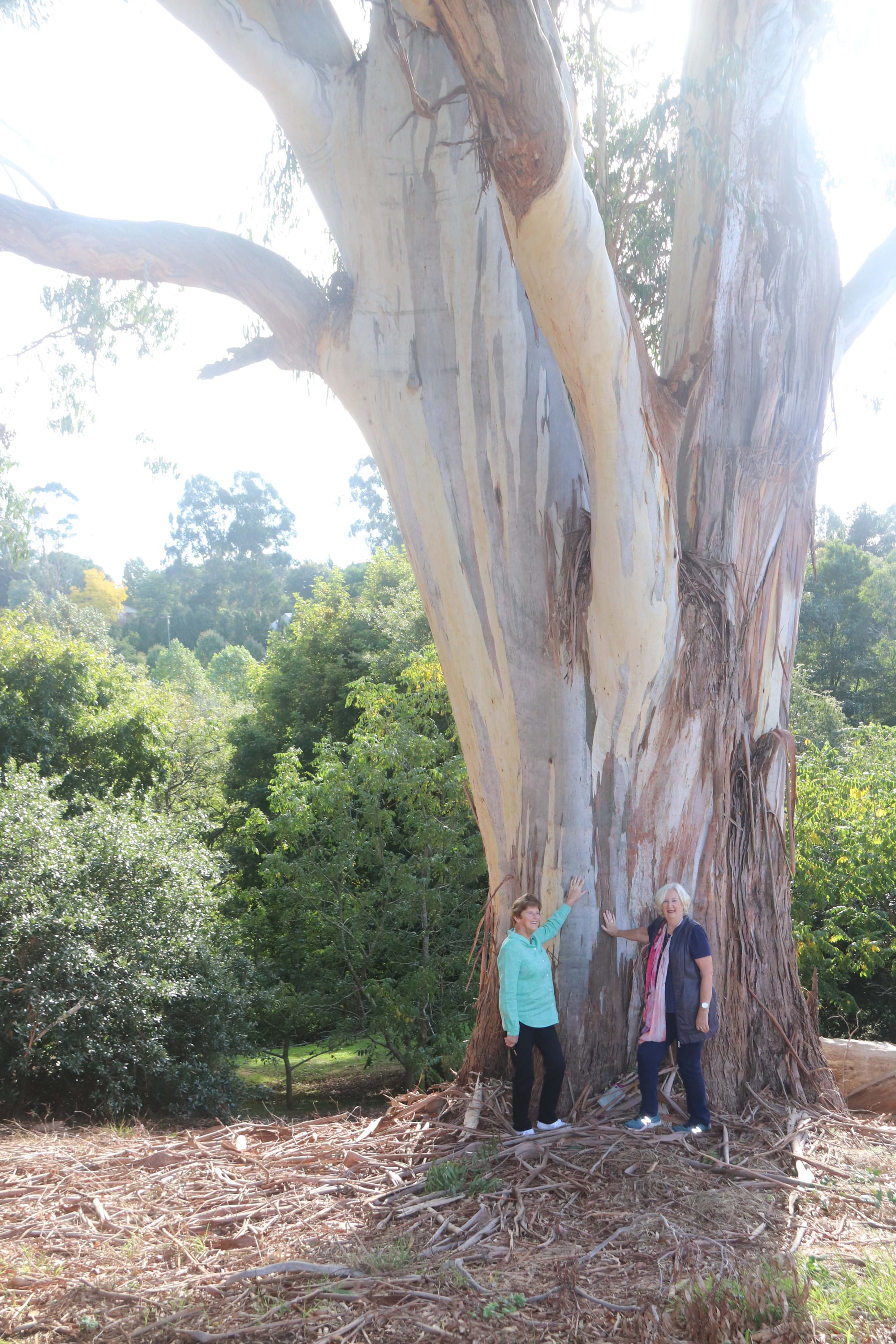 Arboretum - 12.04.2022