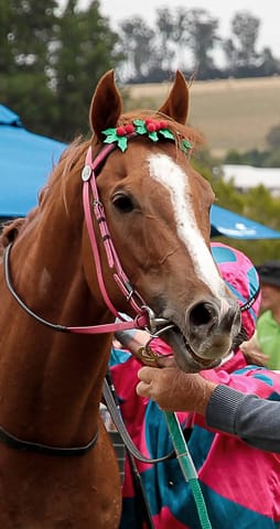 Drouin Boxing Day Races - 26.12.21