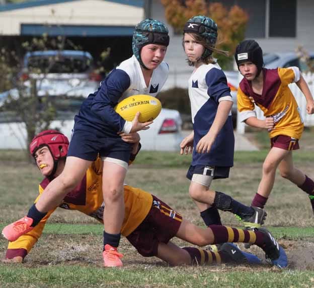 Lightning premierships
