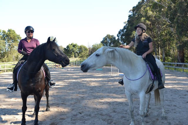 Bridleless Riders - 23.12.2021