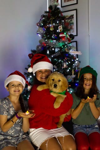 Christmas Photo -  16.12.2021
