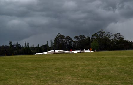 Drouin's turf wicket