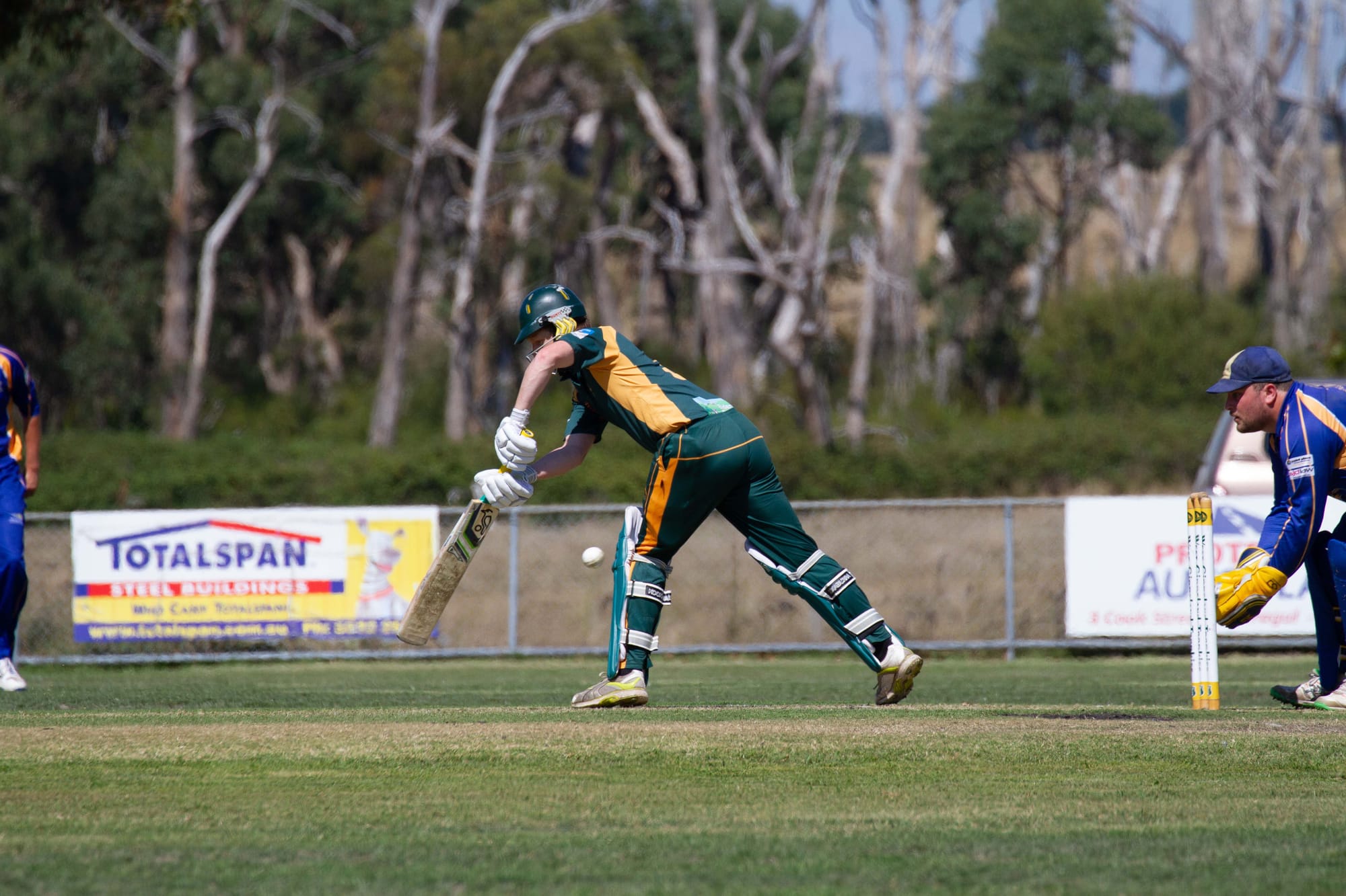 Cricket Div 1 Hallora Vs. Ellinbank - 12.03.2022
