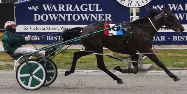 Alford is top horseman