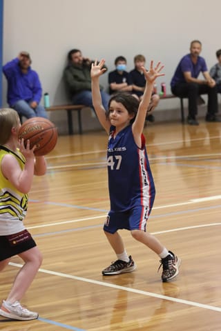 Basketball - 25.11.2021