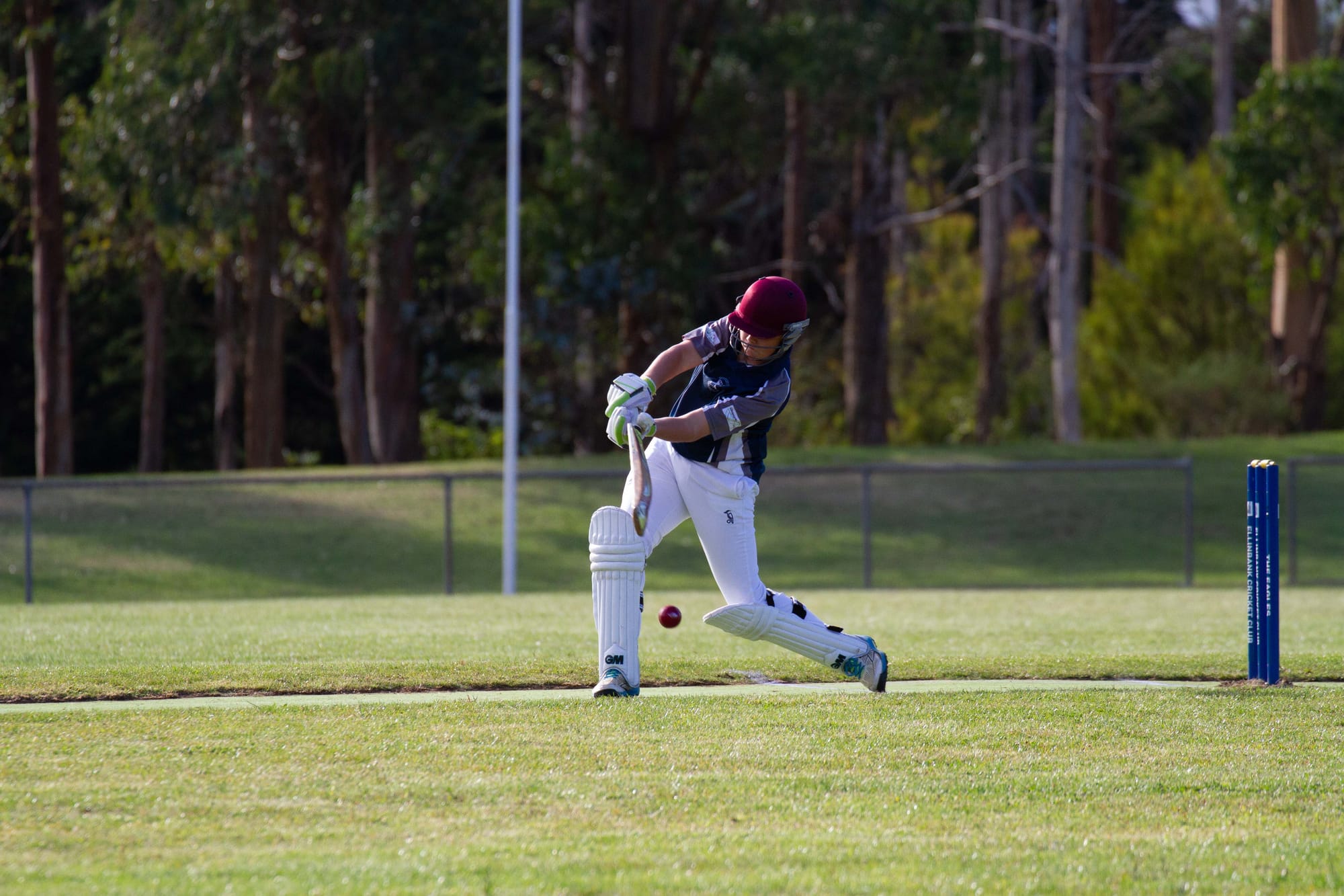 Cricket (U16's) Ellinbank Vs. Neerim District - 12.03.2022