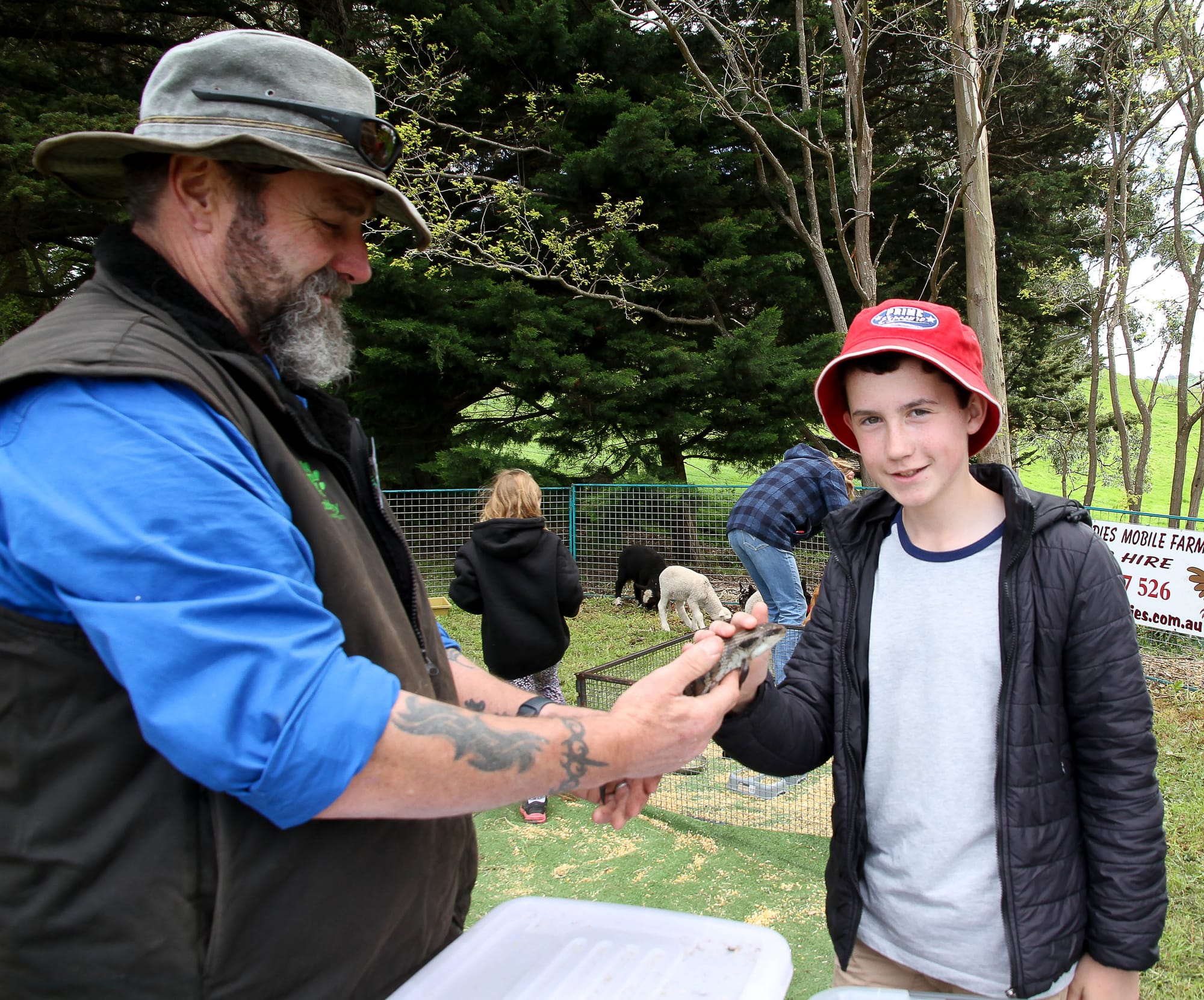 Orphaned animal hero Chris Clifford shows a blue tongue lizard to Damian McNamara from Hallora.
