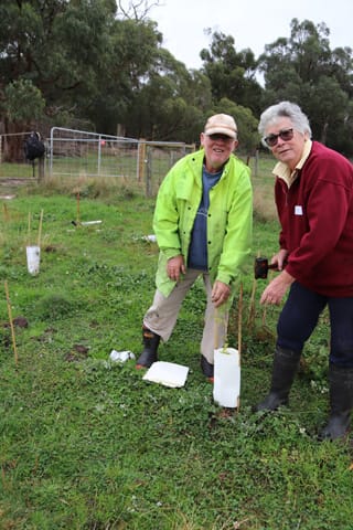 Tree Planting- 06.05.2021 