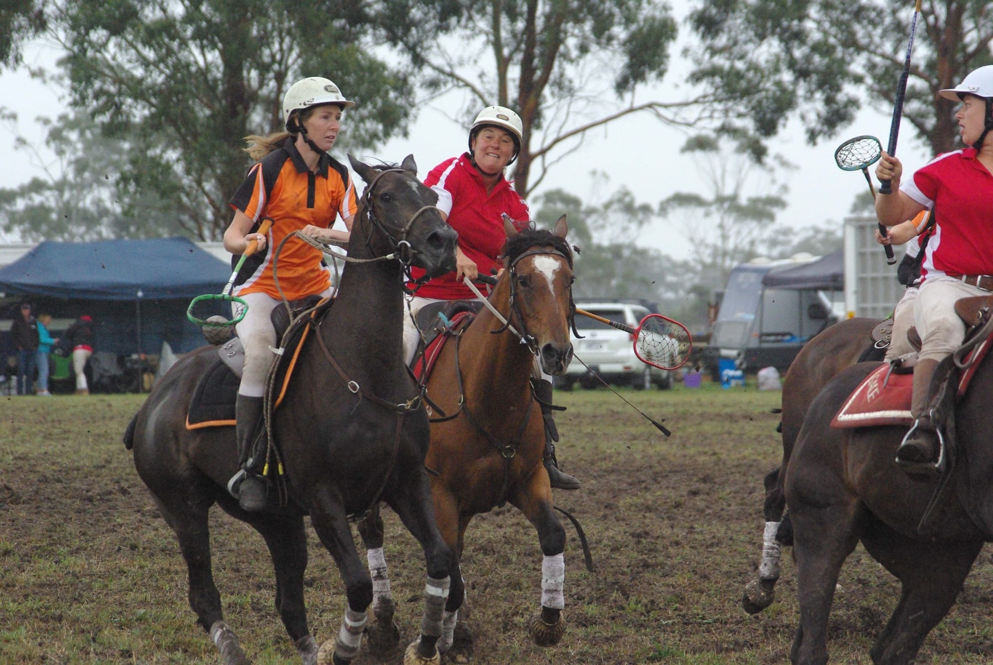 Traf Polox - 15.03.2022