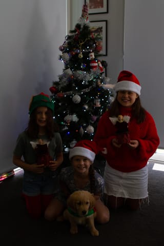 Christmas Photo -  16.12.2021