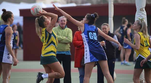 Marist hosts carnival