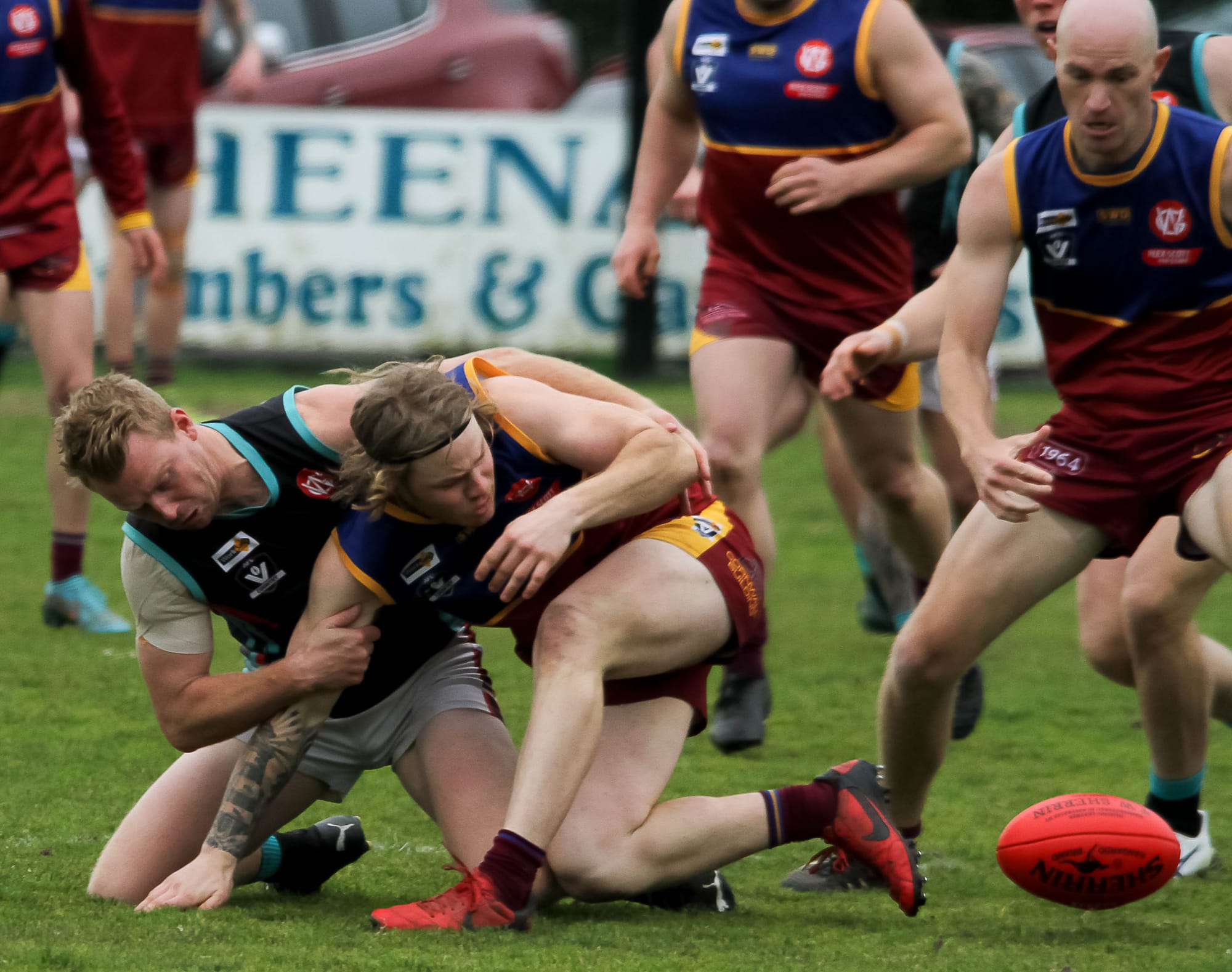 Dusties feel the bite against Cobras