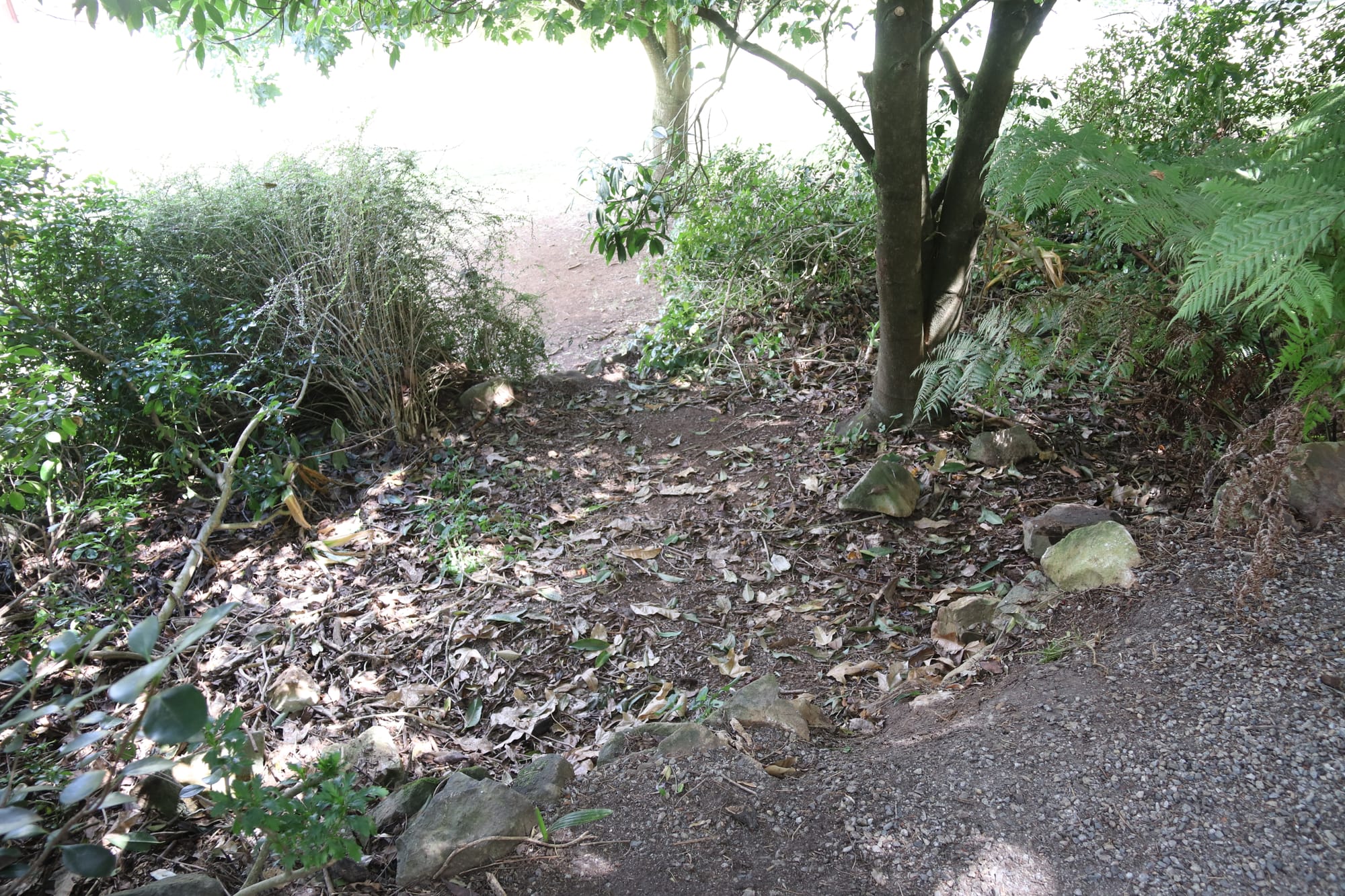 Vandals target Warragul's Civic Park