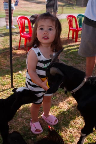 Australia Day Drouin - 26.01.2022