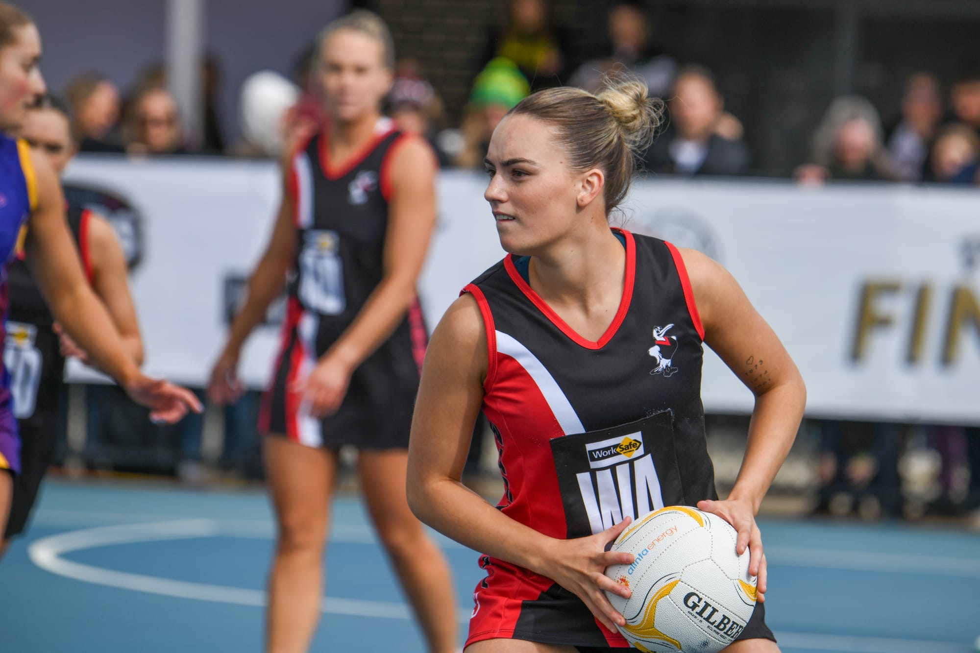 Gulls go down in grand final