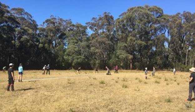 Walhalla cricket reactivated