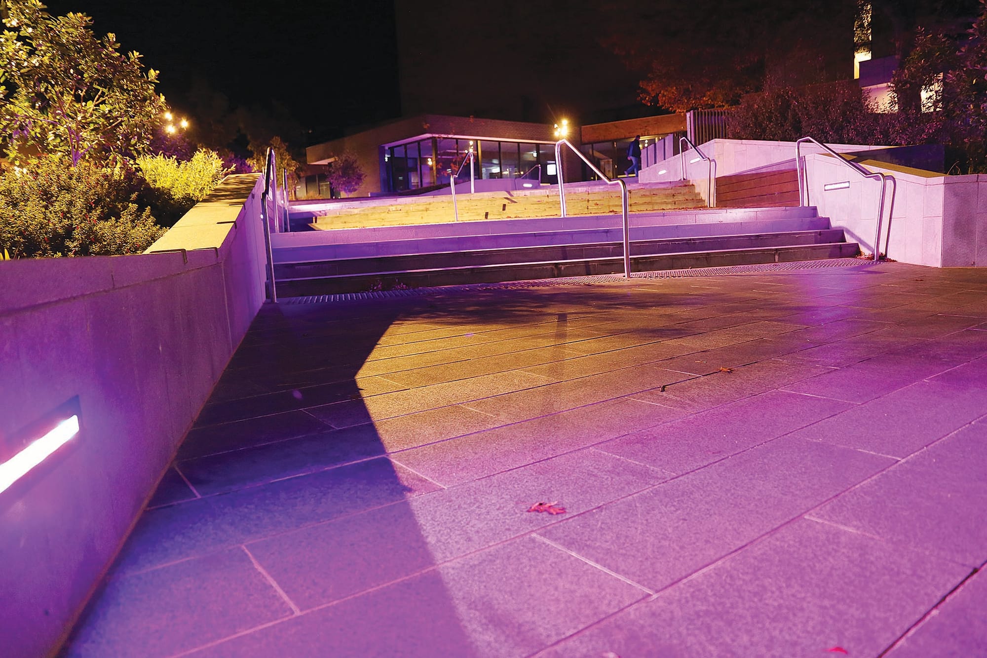 WGAC - Purple Lights - 03.05.2022