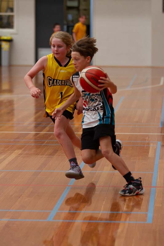 Basketball - 22.02.2022