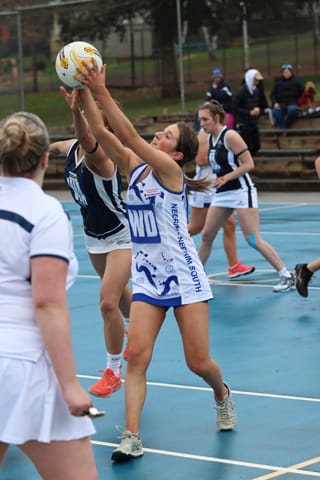Netball EDNA A Grade Neerim South Vs. Catani - 03.07.2021