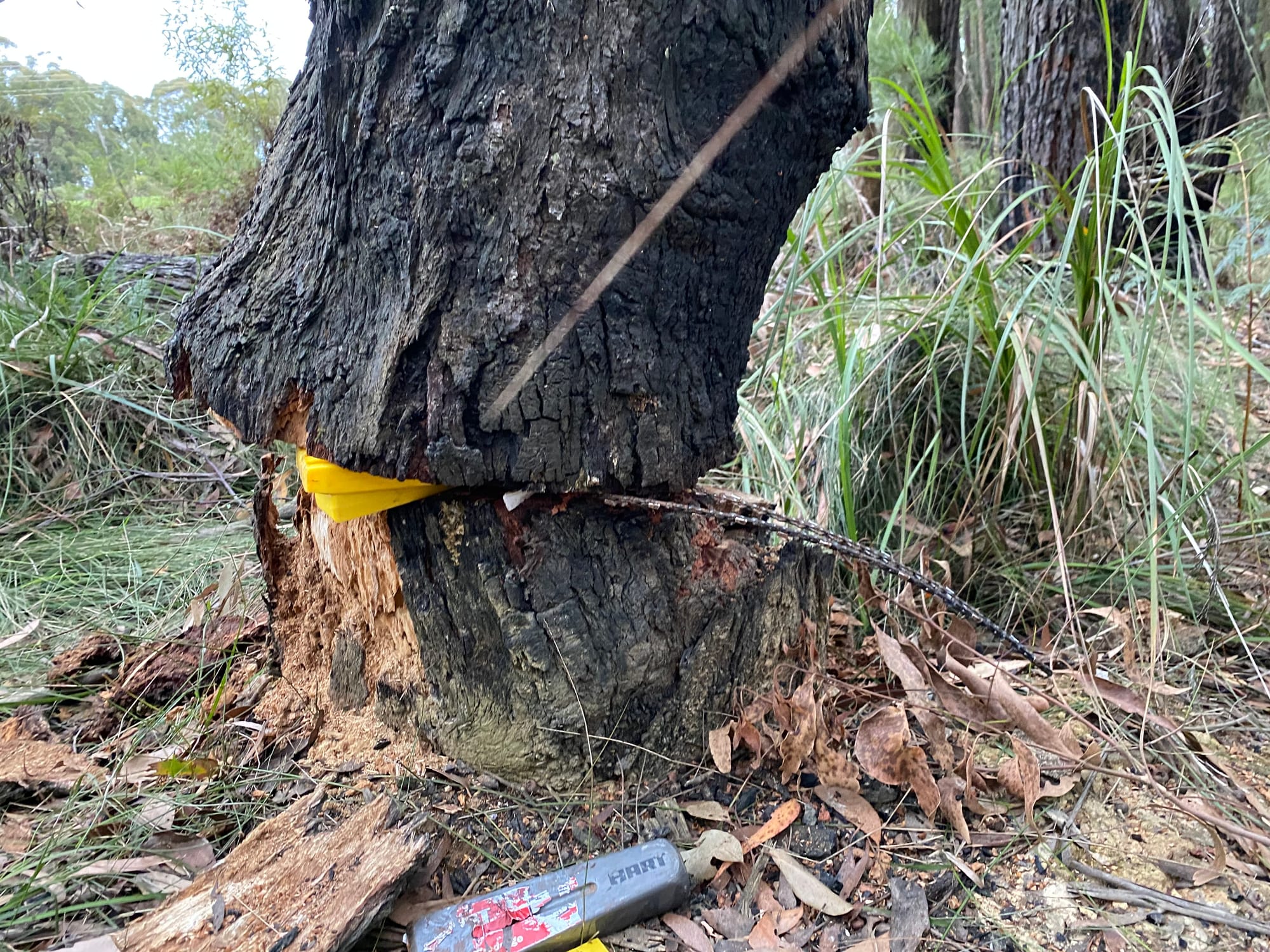 Rokeby residents furious after firewood poached