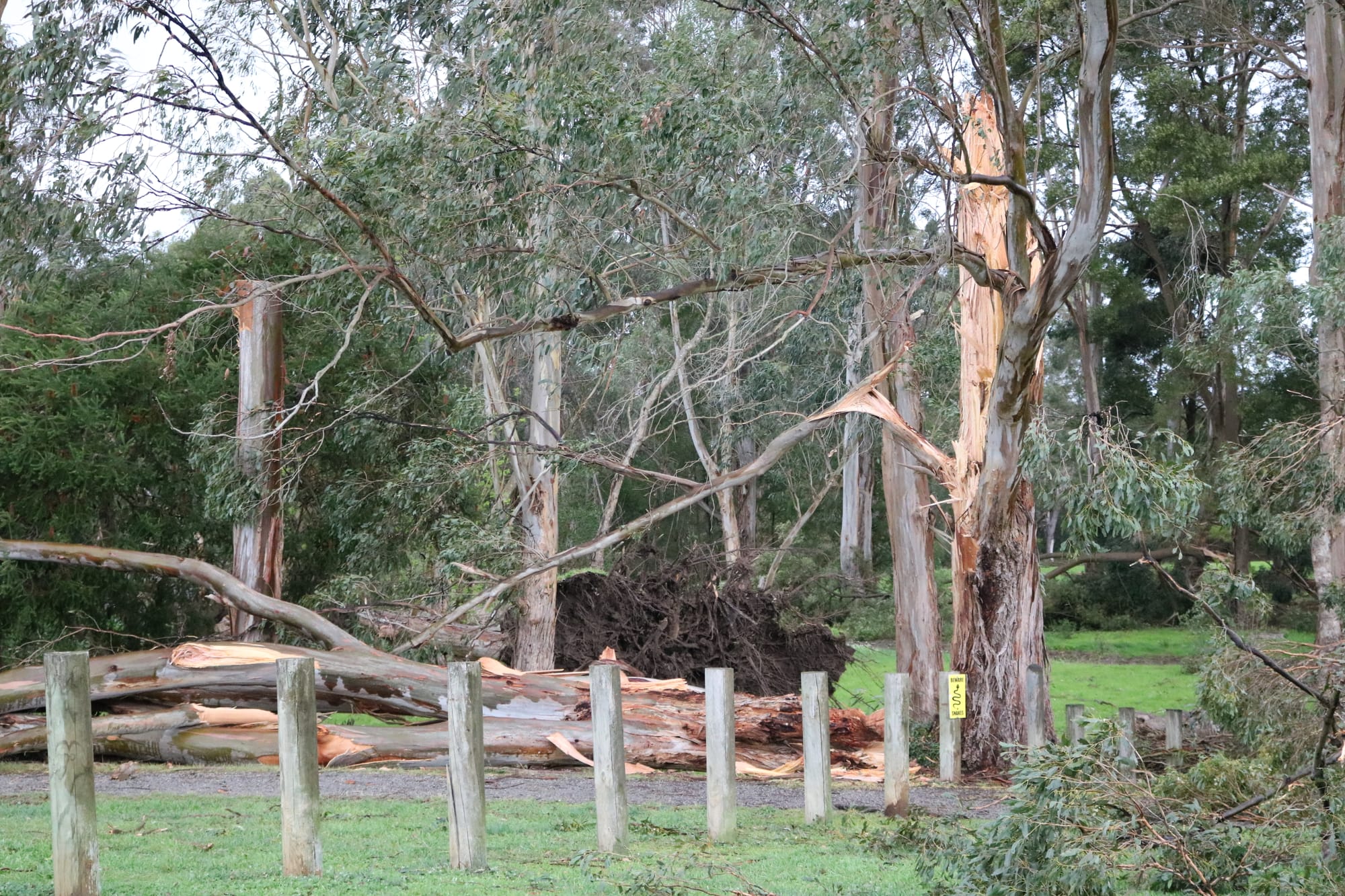 Winds up to 124km/h recorded at Warragul