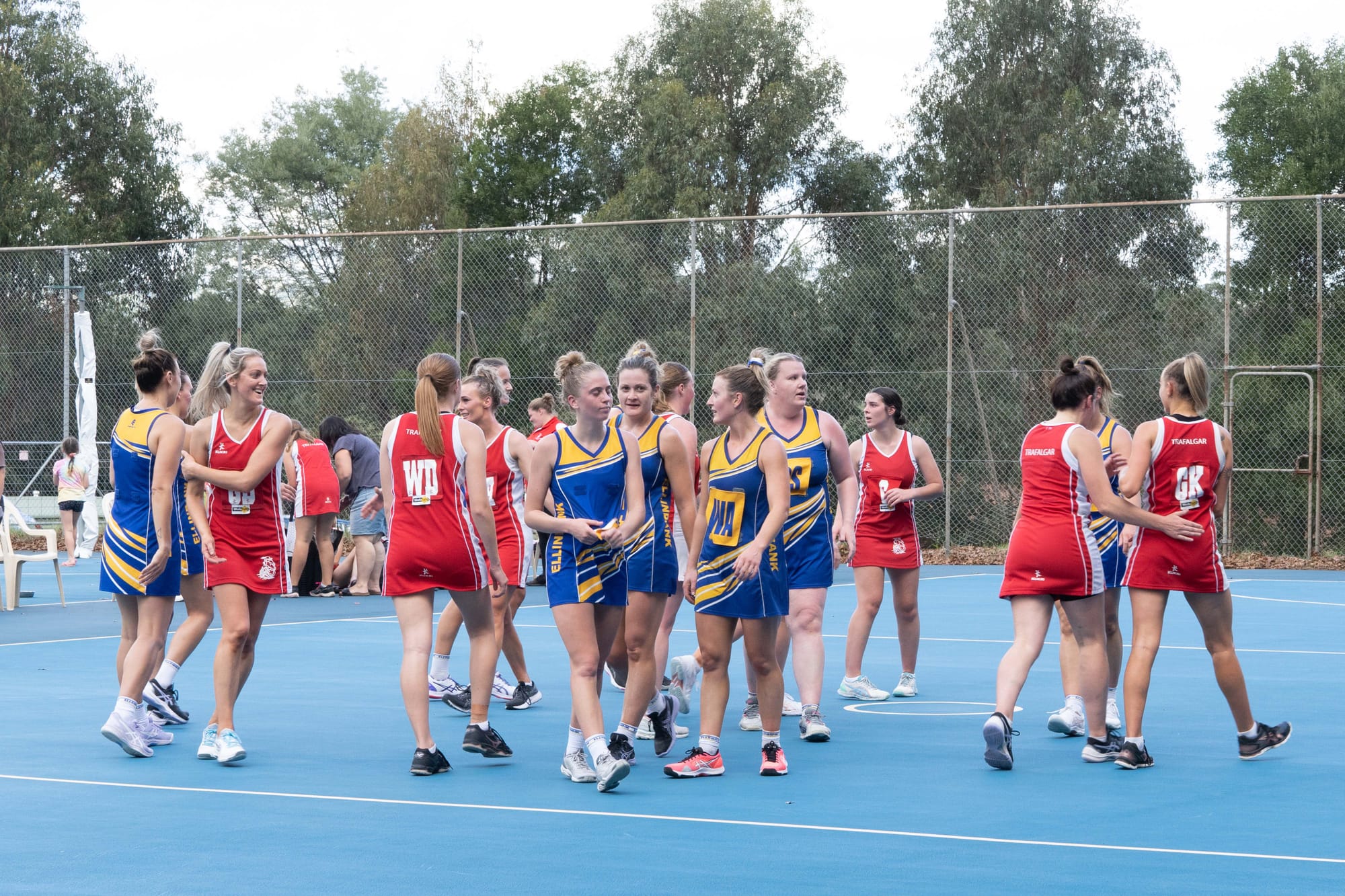 Netball EDFL