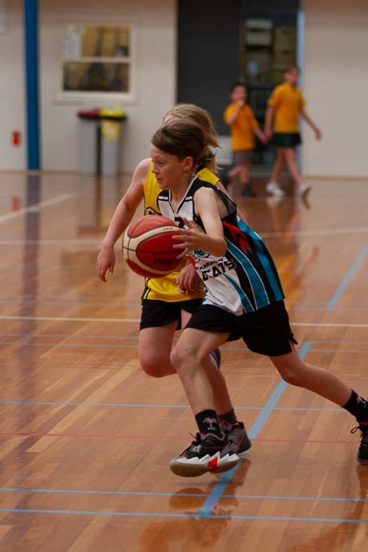 Basketball - 22.02.2022