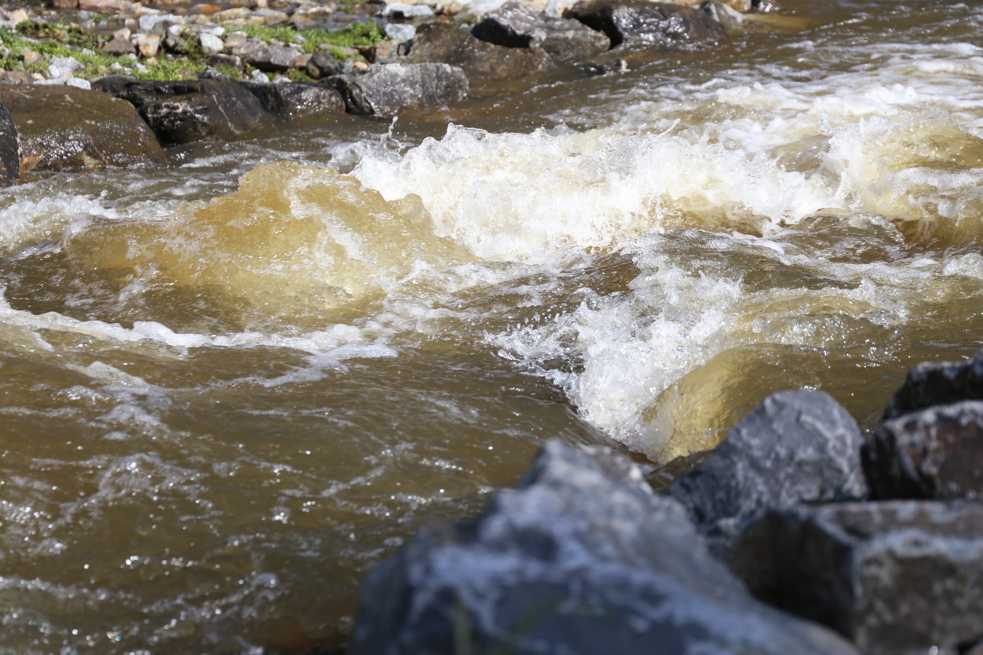 Better than average rainfall for most of Baw Baw Shire
