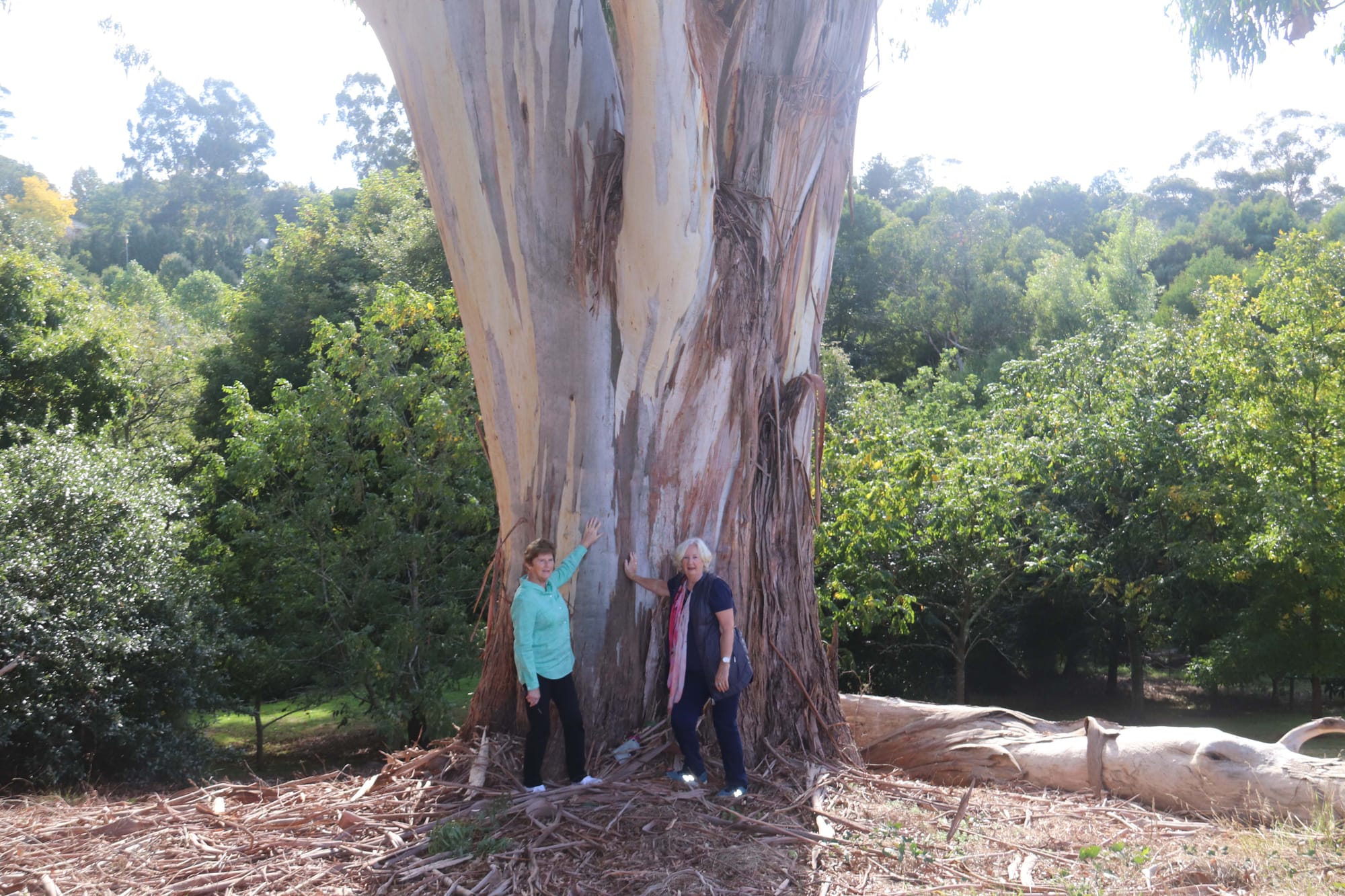 Arboretum - 12.04.2022