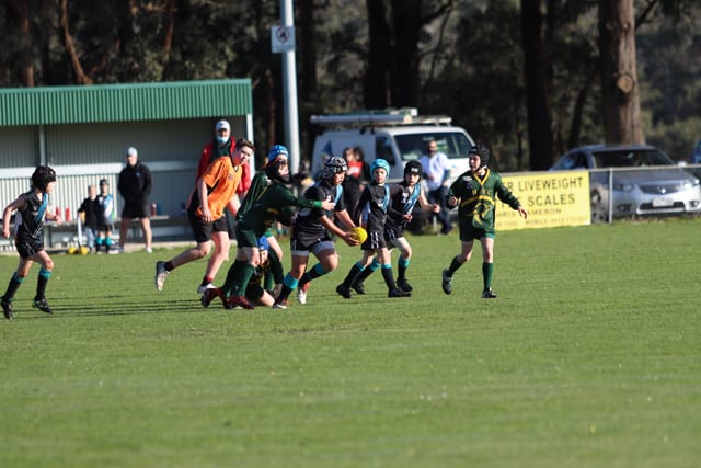 Football WDJFL (U10's) Hallora Vs. Yarragon - 14.08.2021 