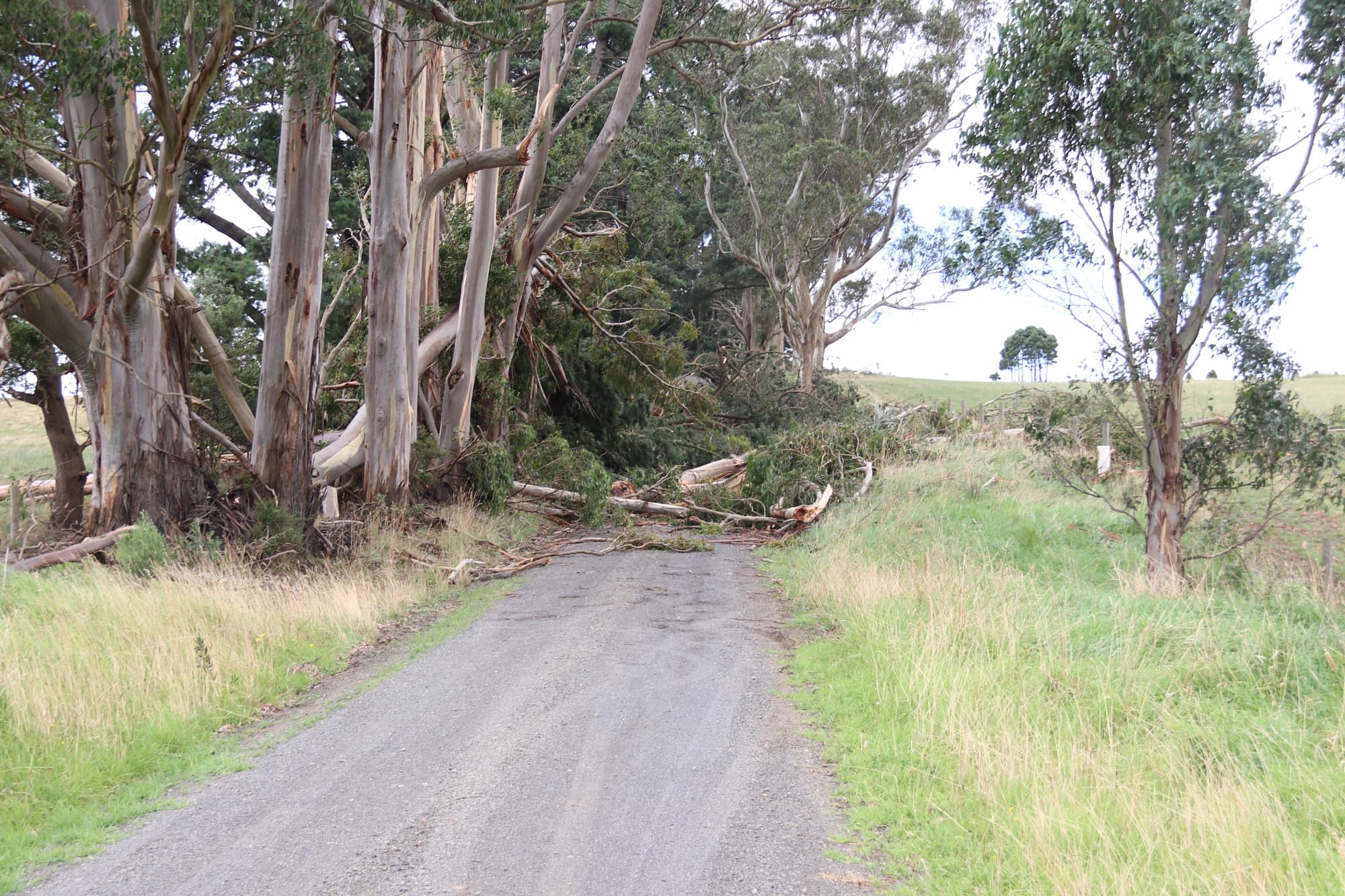Lot still do do to clear district roads
