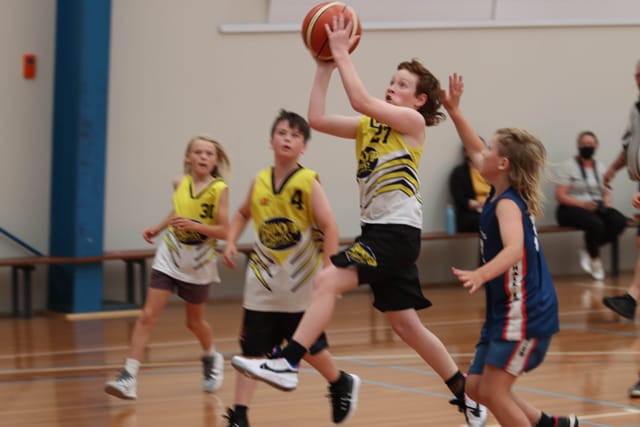 Basketball - 09.11.2021