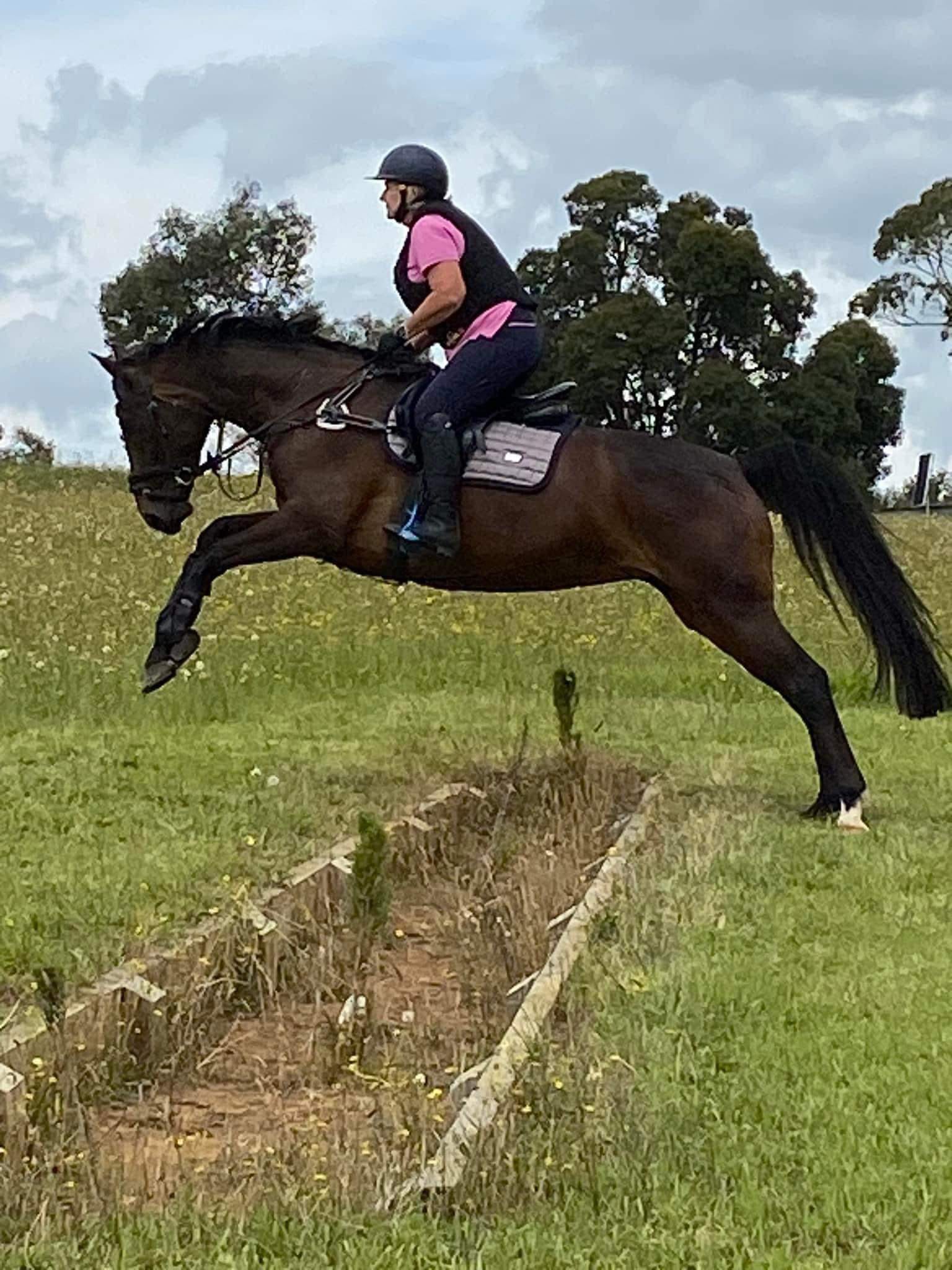 Julie Fern from Buln Buln East on Fern tackles a hazard at the West Gippsland Adult Riding Club's training course at Lardner Park.