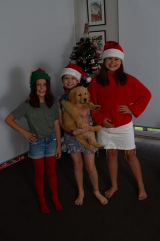 Christmas Photo -  16.12.2021