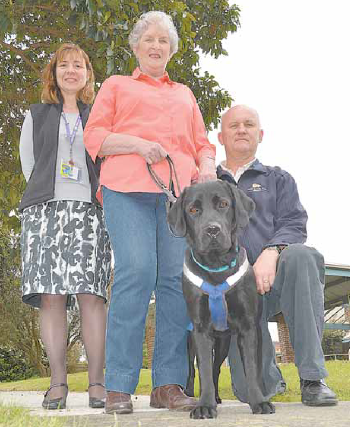 Dogs perform for clients