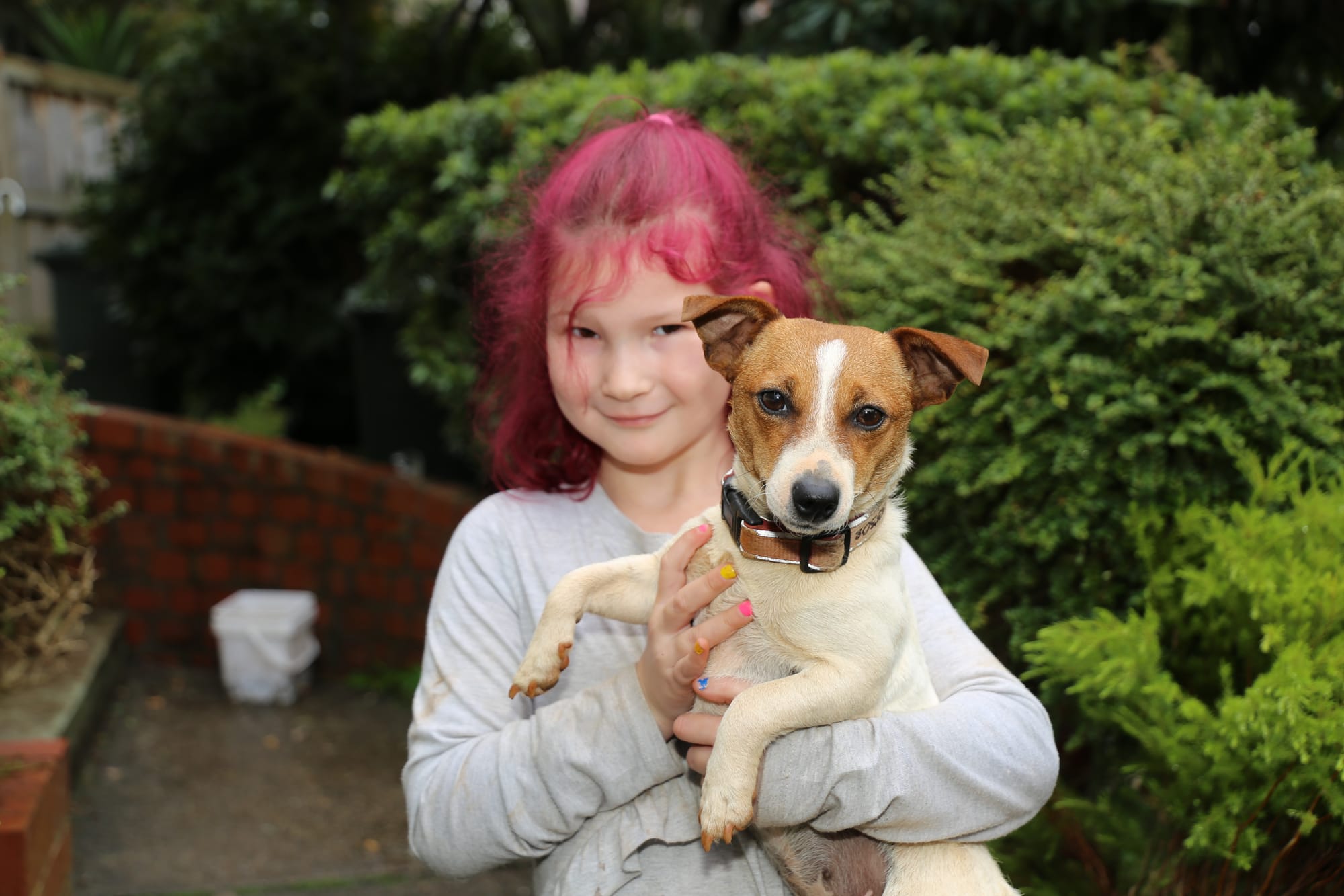 Puppy Pippa is well after three day ordeal