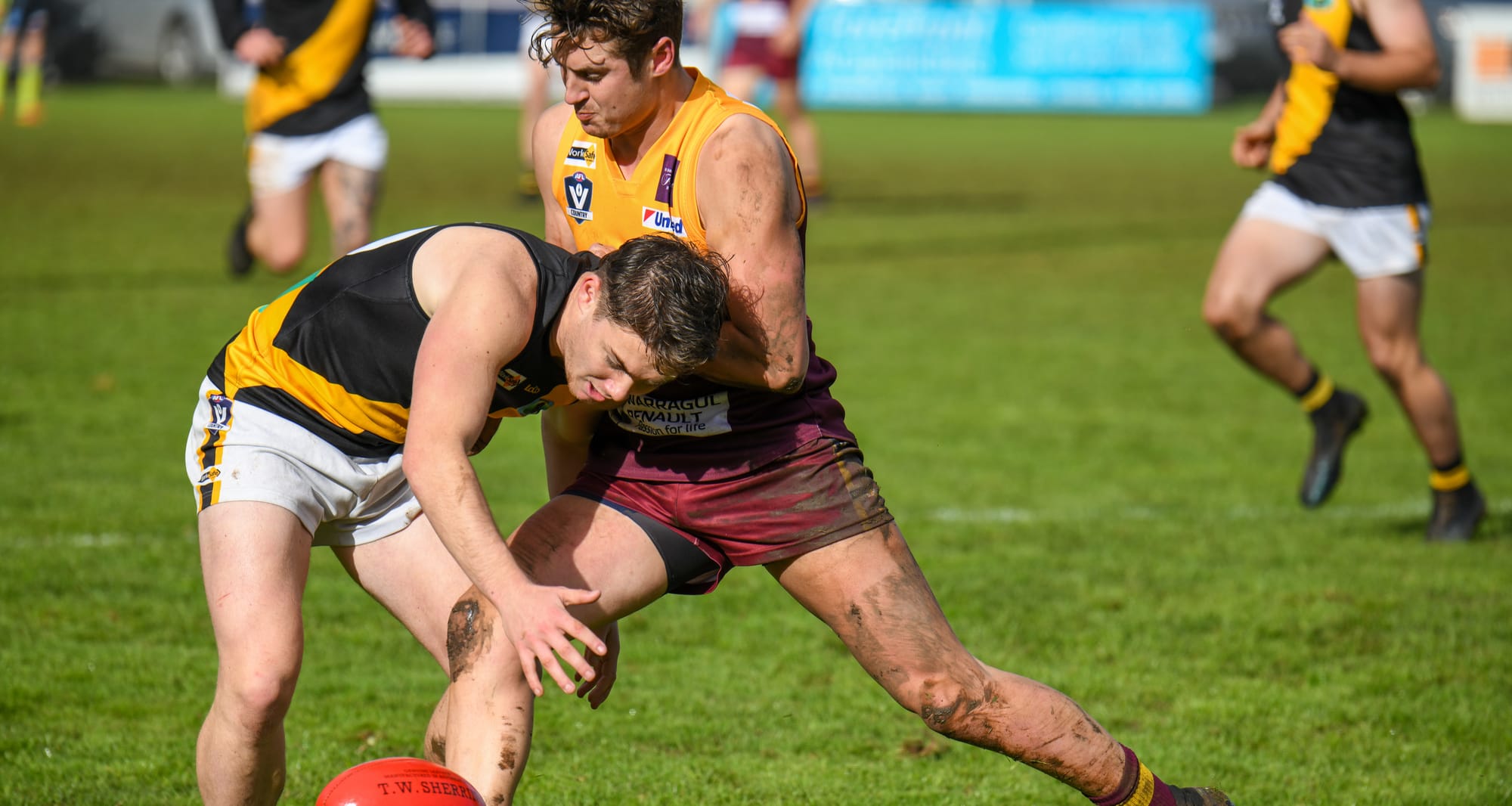 Gulls and Hawks face tough opposition in Gippsland League