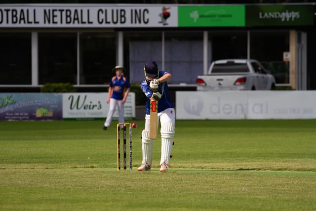 Cricket (U14's) Western Park Blue  Vs. Ellinbank - 31.01.2022