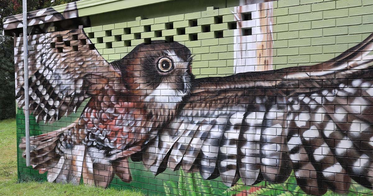 BBSC Facebook Mural - 26.04.2022