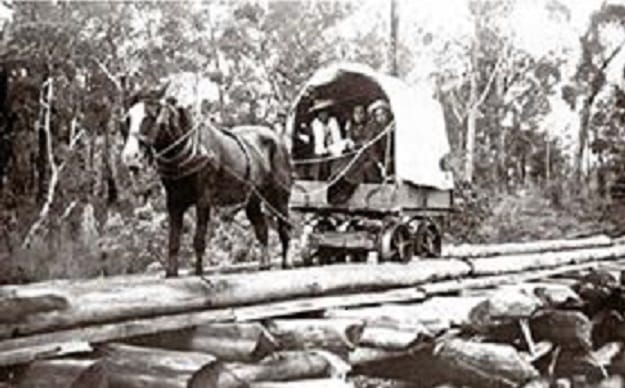 Snapshot of the past: Collins family