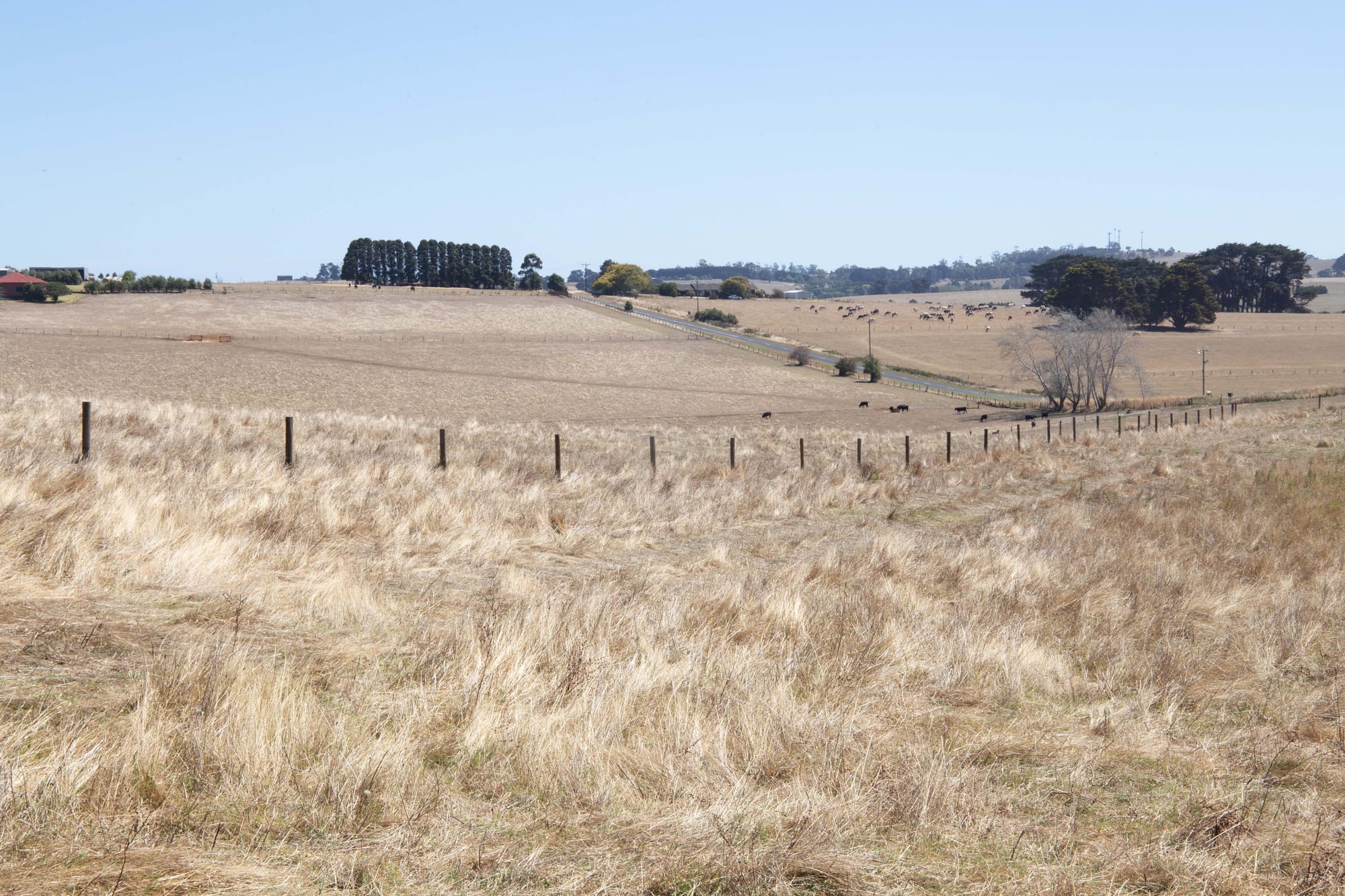 Dry Paddocks - 03.03.2022